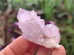Natural Spirit Amethyst Crystals x 24 From Boekenhouthoek, South Africa - Toprock Gemstones and Minerals 