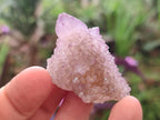 Natural Spirit Amethyst Crystals x 24 From Boekenhouthoek, South Africa - Toprock Gemstones and Minerals 
