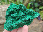 Natural Silky Malachite Specimens x 6 From Kasompe, Congo - Toprock Gemstones and Minerals 