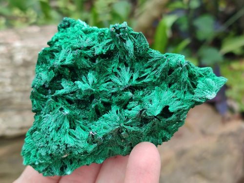Natural Silky Malachite Specimens x 6 From Kasompe, Congo - Toprock Gemstones and Minerals 