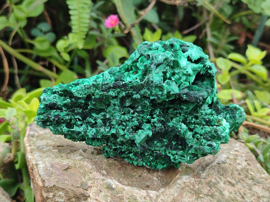 Natural Silky Malachite Specimens x 6 From Kasompe, Congo - Toprock Gemstones and Minerals 