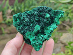 Natural Silky Malachite Specimens x 6 From Kasompe, Congo - Toprock Gemstones and Minerals 