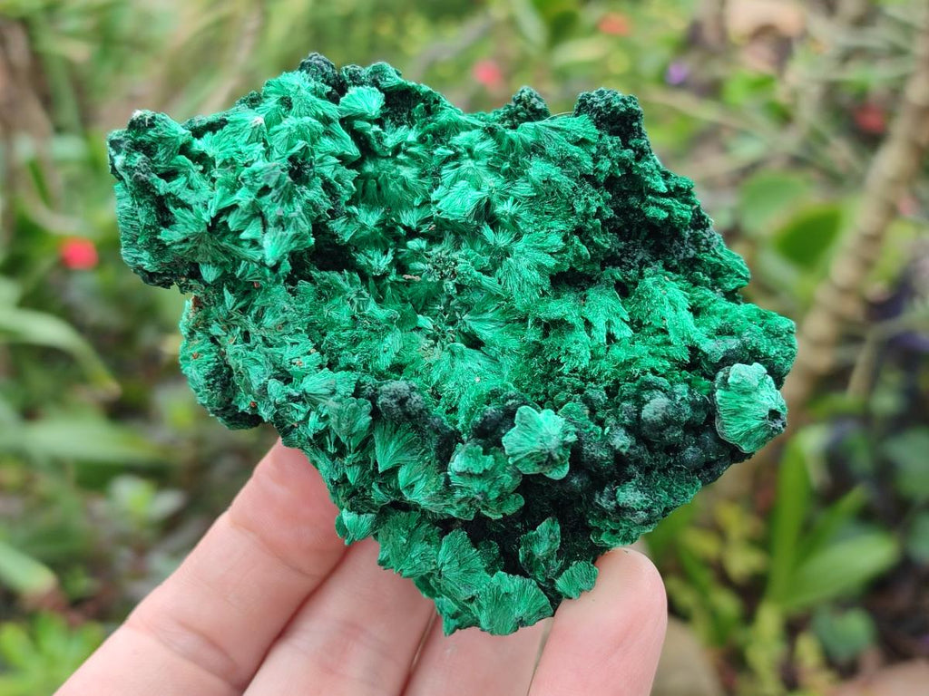 Natural Silky Malachite Specimens x 6 From Kasompe, Congo - Toprock Gemstones and Minerals 