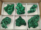 Natural Silky Malachite Specimens x 6 From Kasompe, Congo - Toprock Gemstones and Minerals 