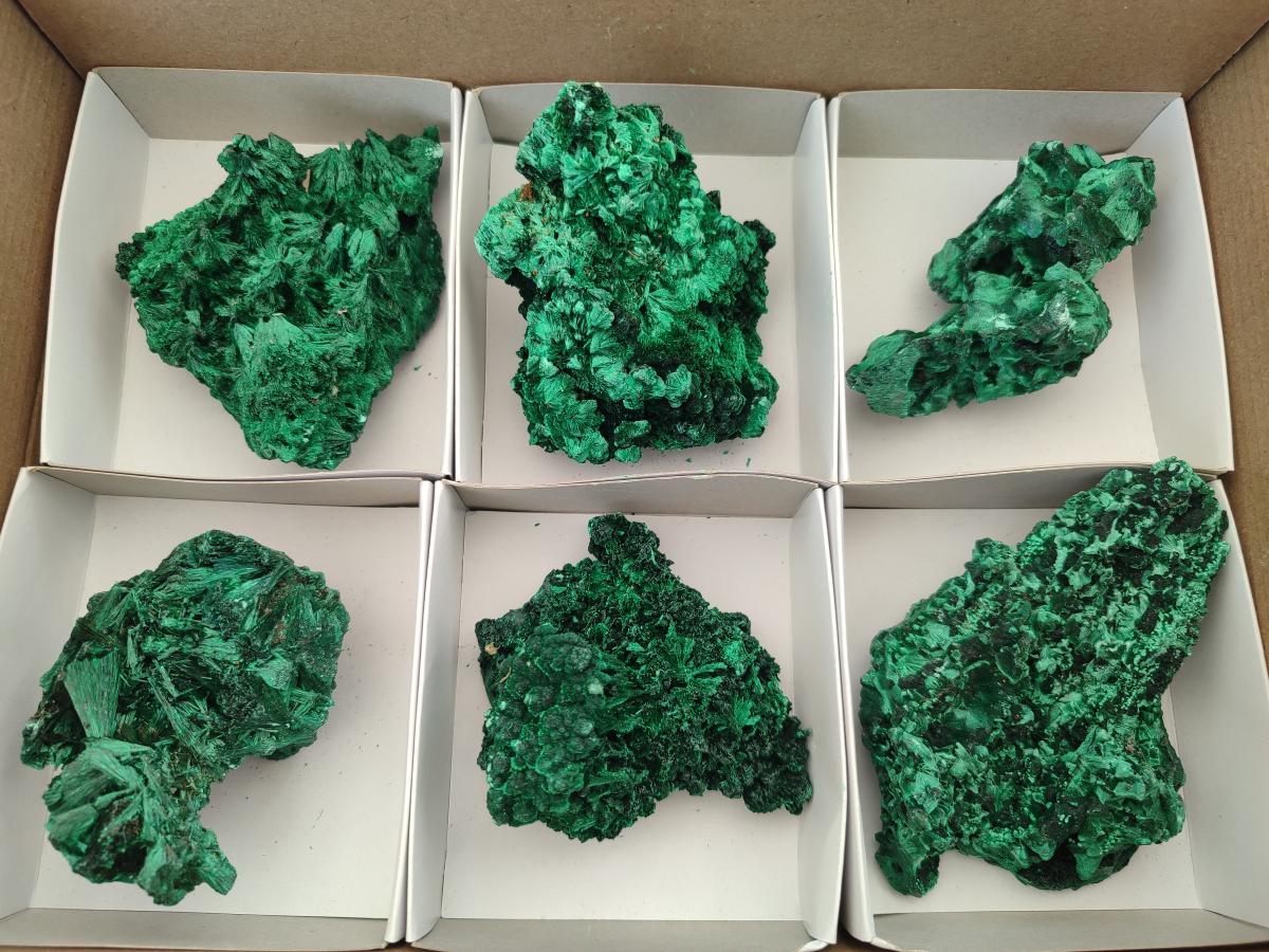 Natural Silky Malachite Specimens x 6 From Kasompe, Congo - Toprock Gemstones and Minerals 