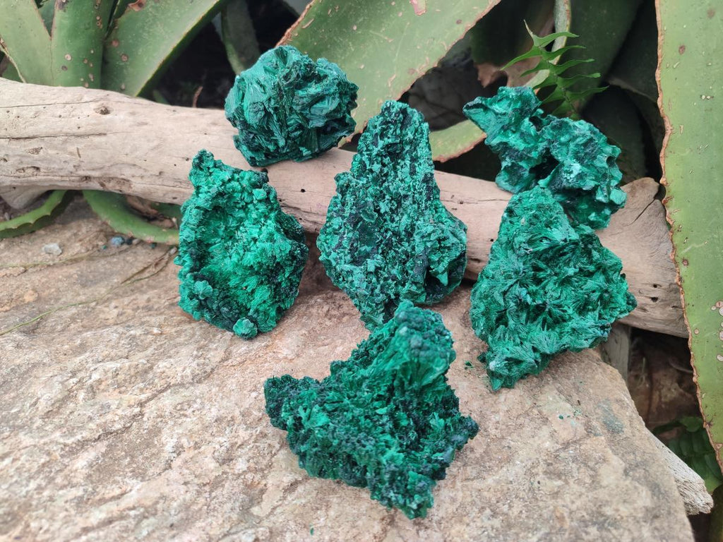 Natural Silky Malachite Specimens x 6 From Kasompe, Congo - Toprock Gemstones and Minerals 