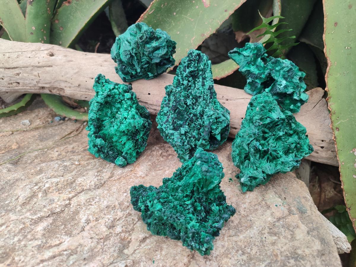 Natural Silky Malachite Specimens x 6 From Kasompe, Congo - Toprock Gemstones and Minerals 