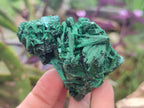 Natural Silky Malachite Specimens x 6 From Kasompe, Congo - Toprock Gemstones and Minerals 