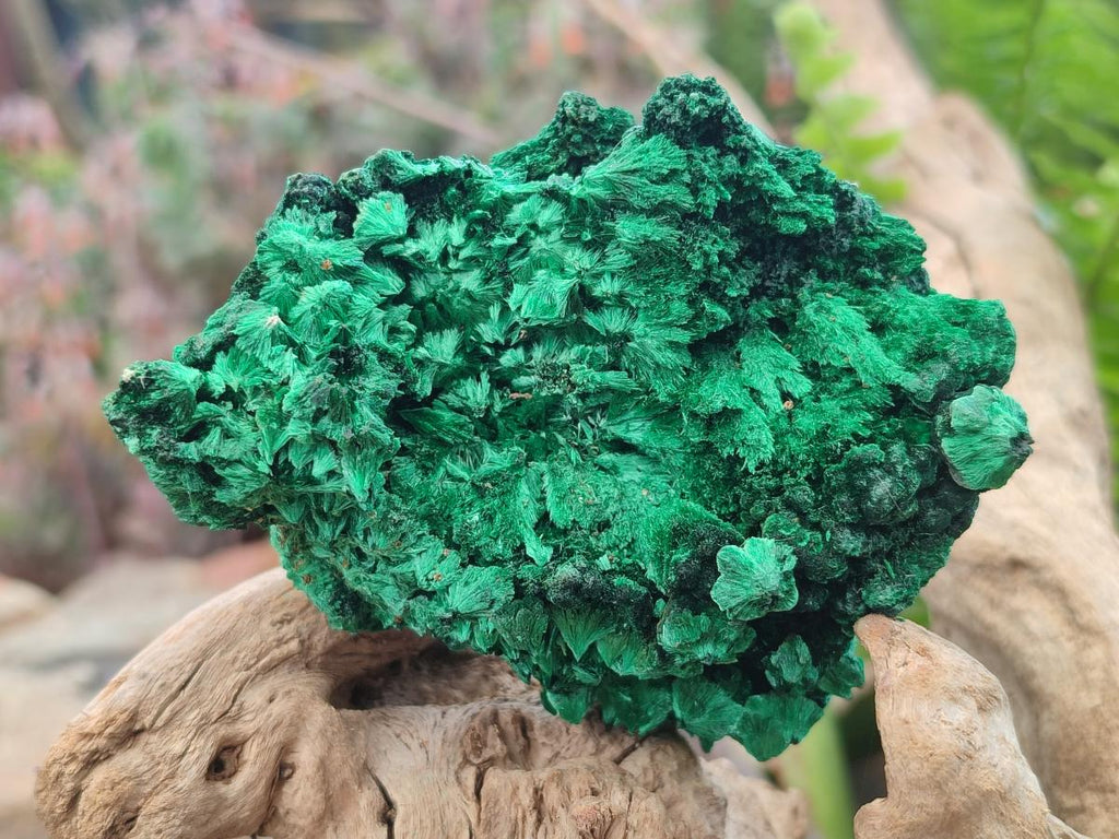 Natural Silky Malachite Specimens x 6 From Kasompe, Congo - Toprock Gemstones and Minerals 