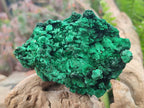 Natural Silky Malachite Specimens x 6 From Kasompe, Congo - Toprock Gemstones and Minerals 
