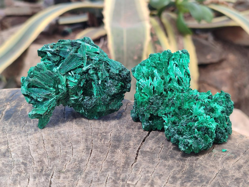 Natural Silky Malachite Specimens x 6 From Kasompe, Congo - Toprock Gemstones and Minerals 