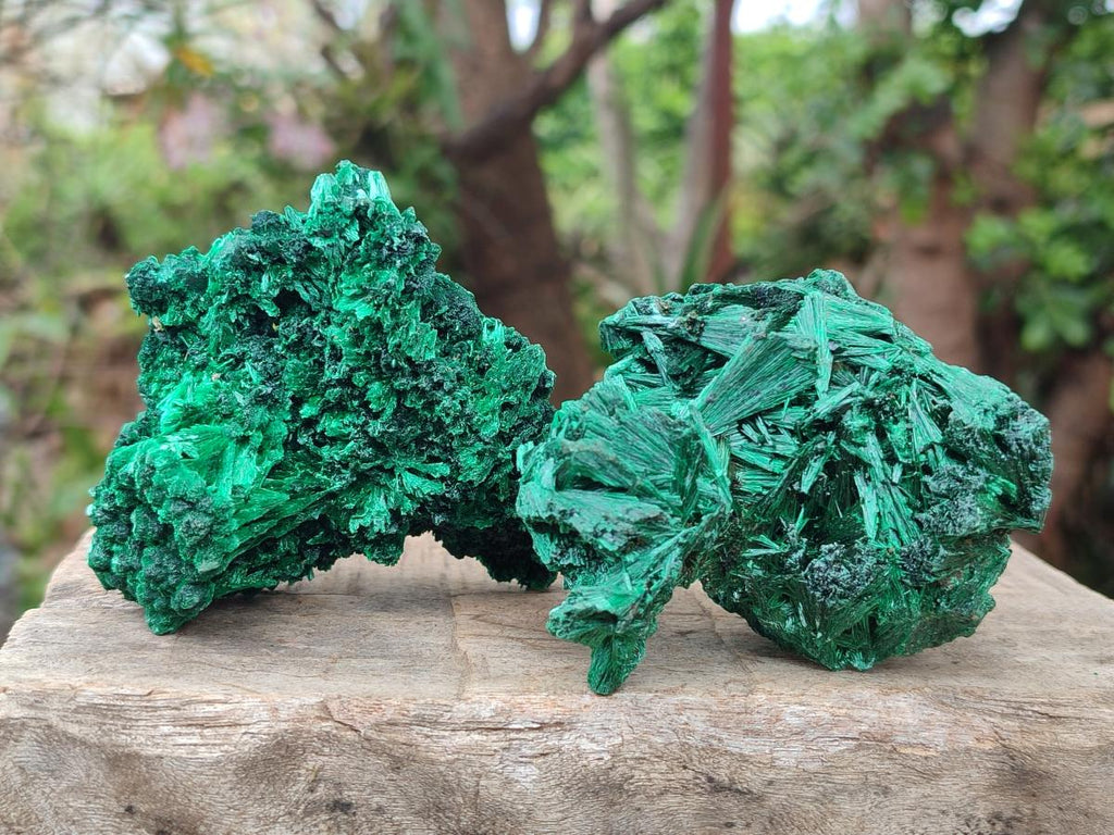 Natural Silky Malachite Specimens x 6 From Kasompe, Congo - Toprock Gemstones and Minerals 