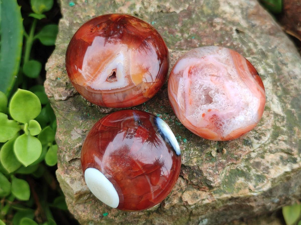 Polished Carnelian Agate Gemstone Galets x 20 From Madagascar - Toprock Gemstones and Minerals 