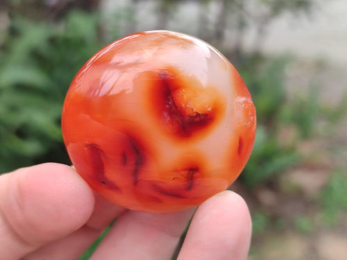 Polished Carnelian Agate Gemstone Galets x 20 From Madagascar - Toprock Gemstones and Minerals 