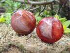 Polished Carnelian Agate Gemstone Galets x 20 From Madagascar - Toprock Gemstones and Minerals 