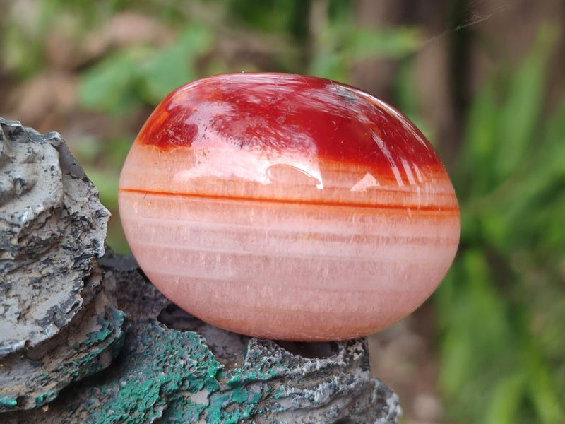 Polished Carnelian Agate Gemstone Galets x 20 From Madagascar - Toprock Gemstones and Minerals 