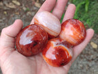 Polished Carnelian Agate Gemstone Galets x 20 From Madagascar - Toprock Gemstones and Minerals 