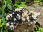 Natural Large Dark Smokey Quartz Clusters with Black Tourmaline and Feldspar x 2 From Erongo, Namibia - Toprock Gemstones and Minerals 