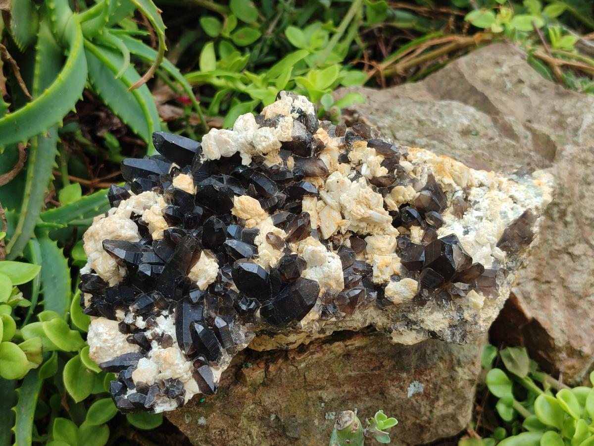 Natural Large Dark Smokey Quartz Clusters with Black Tourmaline and Feldspar x 2 From Erongo, Namibia - Toprock Gemstones and Minerals 