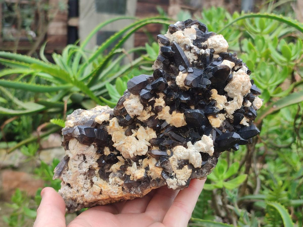 Natural Large Dark Smokey Quartz Clusters with Black Tourmaline and Feldspar x 2 From Erongo, Namibia - Toprock Gemstones and Minerals 