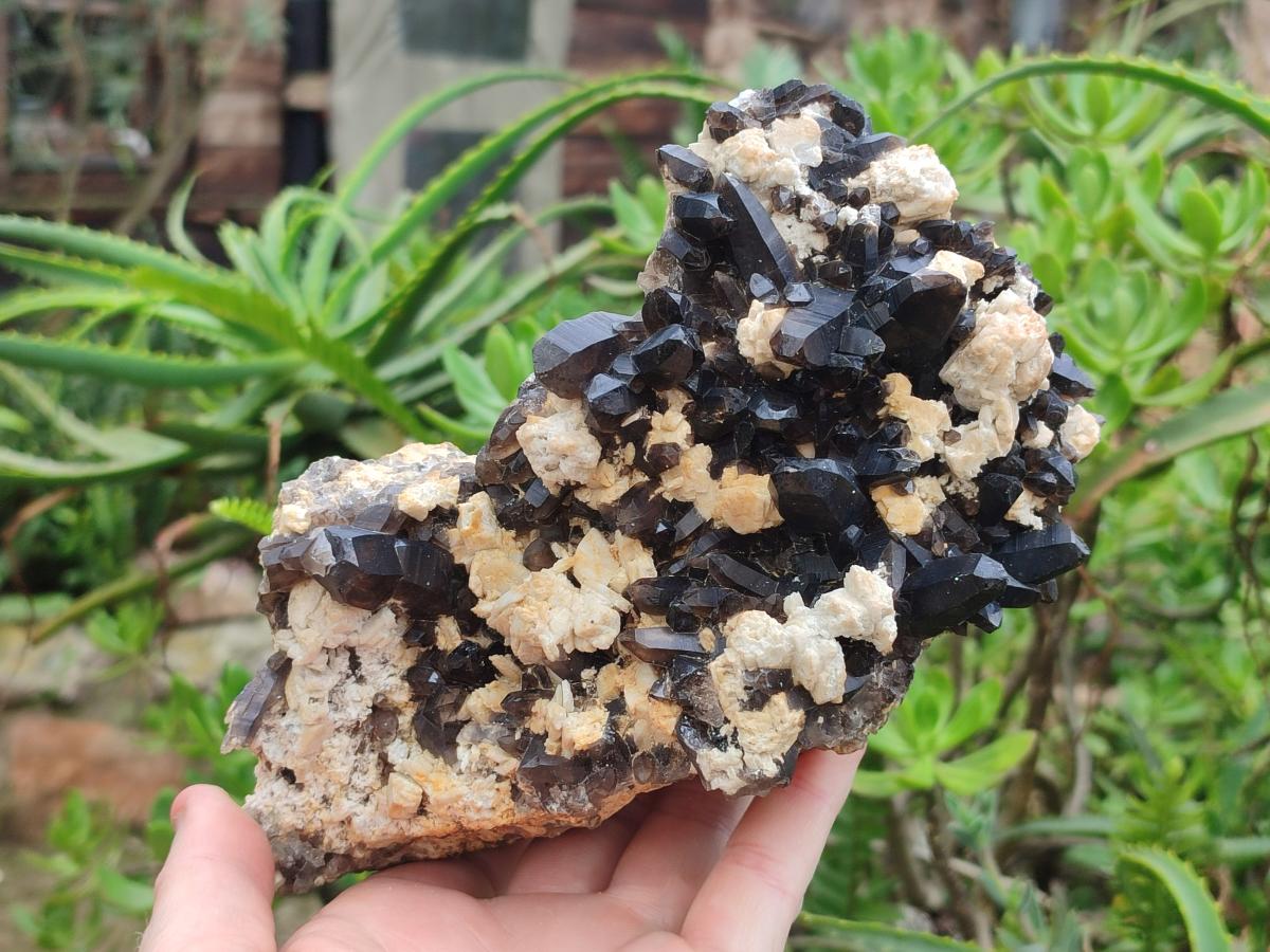 Natural Large Dark Smokey Quartz Clusters with Black Tourmaline and Feldspar x 2 From Erongo, Namibia - Toprock Gemstones and Minerals 