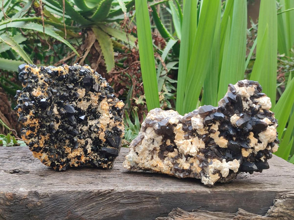 Natural Large Dark Smokey Quartz Clusters with Black Tourmaline and Feldspar x 2 From Erongo, Namibia - Toprock Gemstones and Minerals 