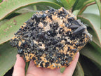Natural Large Dark Smokey Quartz Clusters with Black Tourmaline and Feldspar x 2 From Erongo, Namibia - Toprock Gemstones and Minerals 