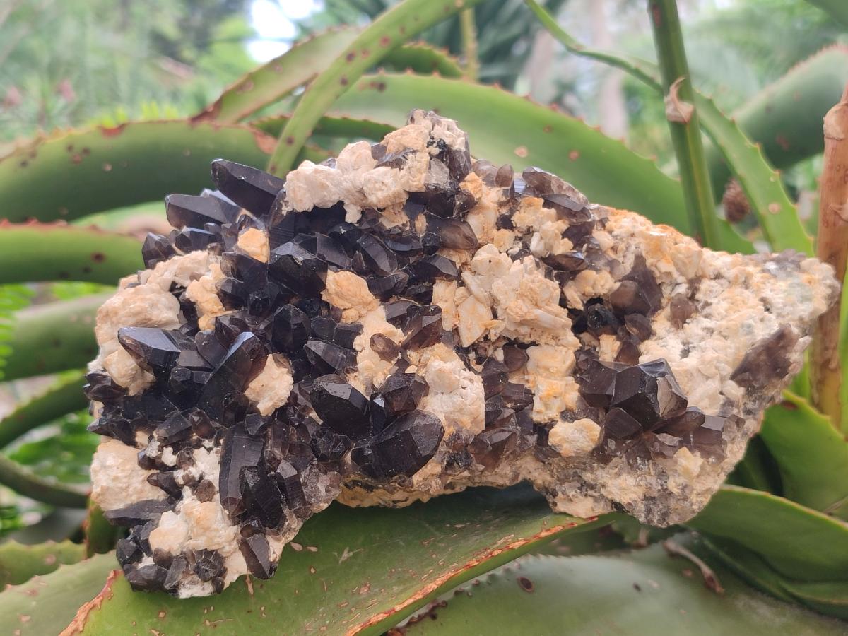 Natural Large Dark Smokey Quartz Clusters with Black Tourmaline and Feldspar x 2 From Erongo, Namibia - Toprock Gemstones and Minerals 