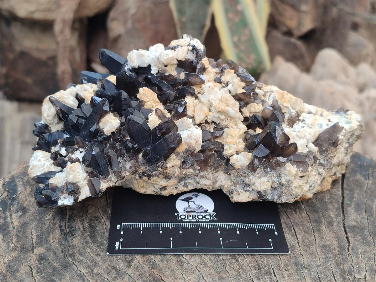 Natural Large Dark Smokey Quartz Clusters with Black Tourmaline and Feldspar x 2 From Erongo, Namibia - Toprock Gemstones and Minerals 