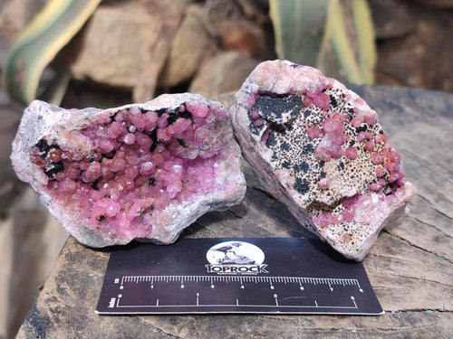 Natural Cabinet Size Spherocobaltite Specimens x 6 From Mashamba West Mine, Congo - Toprock Gemstones and Minerals 