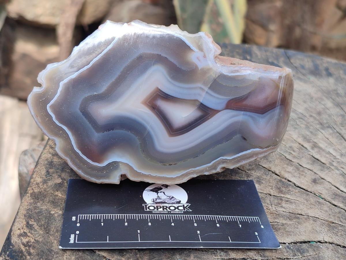 Polished One Side Red Shashe River Agate Nodules x 4 From Shashe River, Zimbabwe - Toprock Gemstones and Minerals 