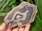 Polished One Side Red Shashe River Agate Nodules x 4 From Shashe River, Zimbabwe - Toprock Gemstones and Minerals 