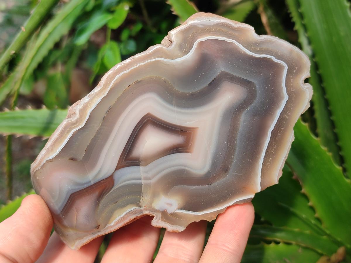 Polished One Side Red Shashe River Agate Nodules x 4 From Shashe River, Zimbabwe - Toprock Gemstones and Minerals 