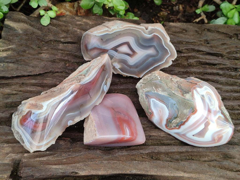 Polished One Side Red Shashe River Agate Nodules x 4 From Shashe River, Zimbabwe - Toprock Gemstones and Minerals 