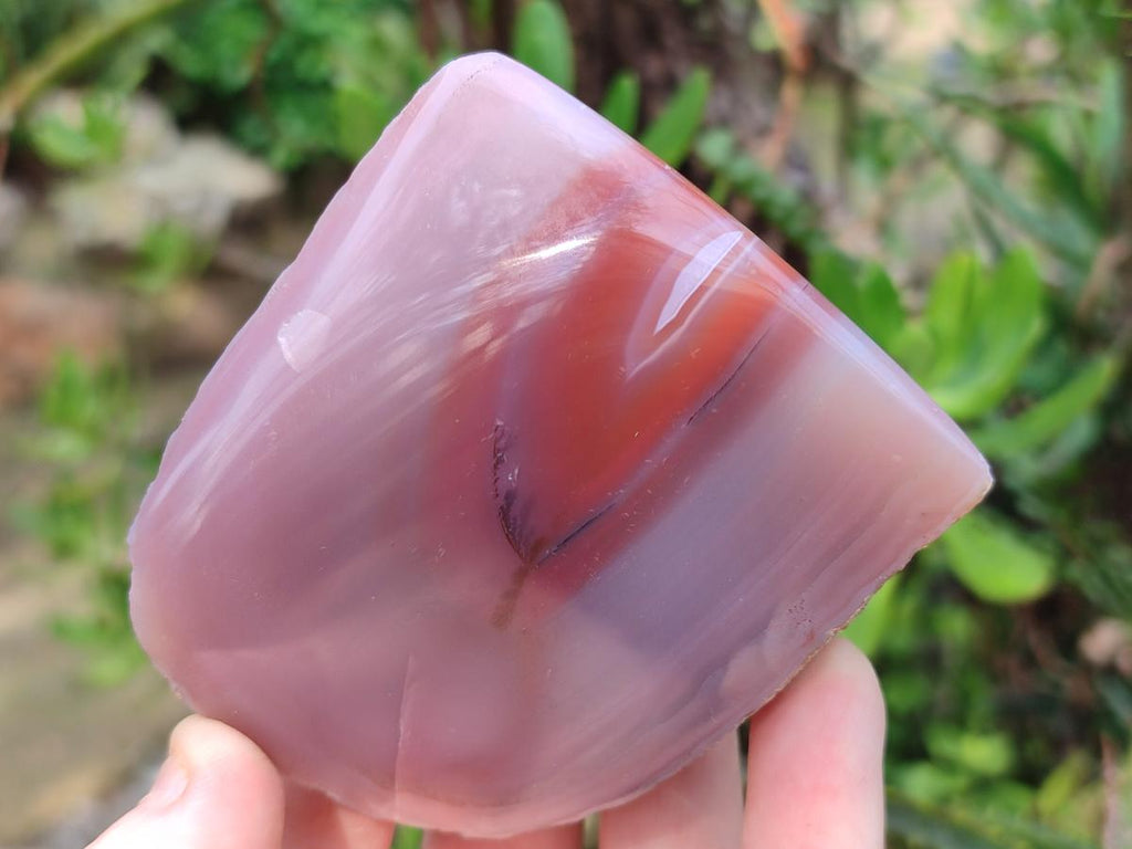 Polished One Side Red Shashe River Agate Nodules x 4 From Shashe River, Zimbabwe - Toprock Gemstones and Minerals 