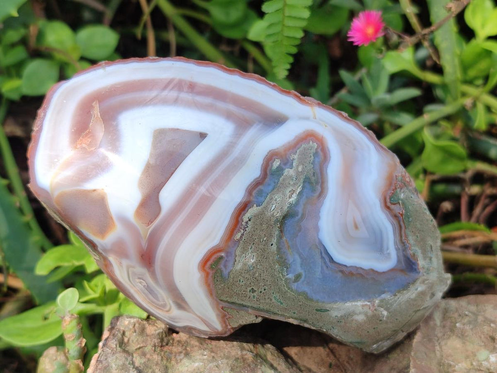 Polished One Side Red Shashe River Agate Nodules x 4 From Shashe River, Zimbabwe - Toprock Gemstones and Minerals 