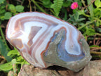 Polished One Side Red Shashe River Agate Nodules x 4 From Shashe River, Zimbabwe - Toprock Gemstones and Minerals 