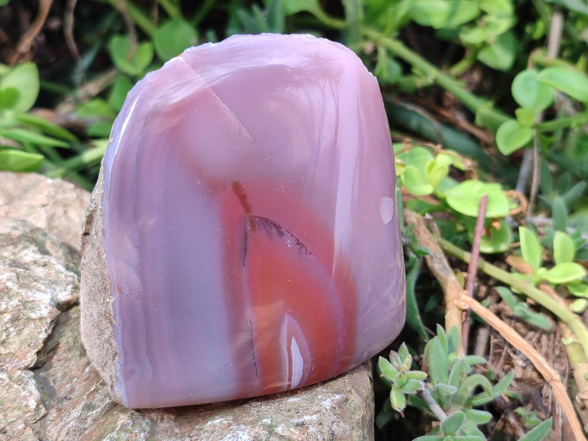 Polished One Side Red Shashe River Agate Nodules x 4 From Shashe River, Zimbabwe - Toprock Gemstones and Minerals 