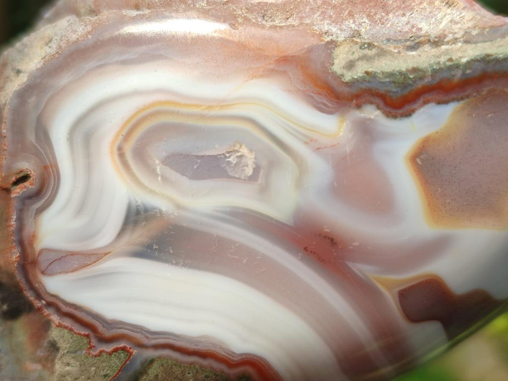 Polished One Side Red Shashe River Agate Nodules x 4 From Shashe River, Zimbabwe - Toprock Gemstones and Minerals 