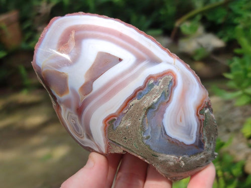 Polished One Side Red Shashe River Agate Nodules x 4 From Shashe River, Zimbabwe - Toprock Gemstones and Minerals 