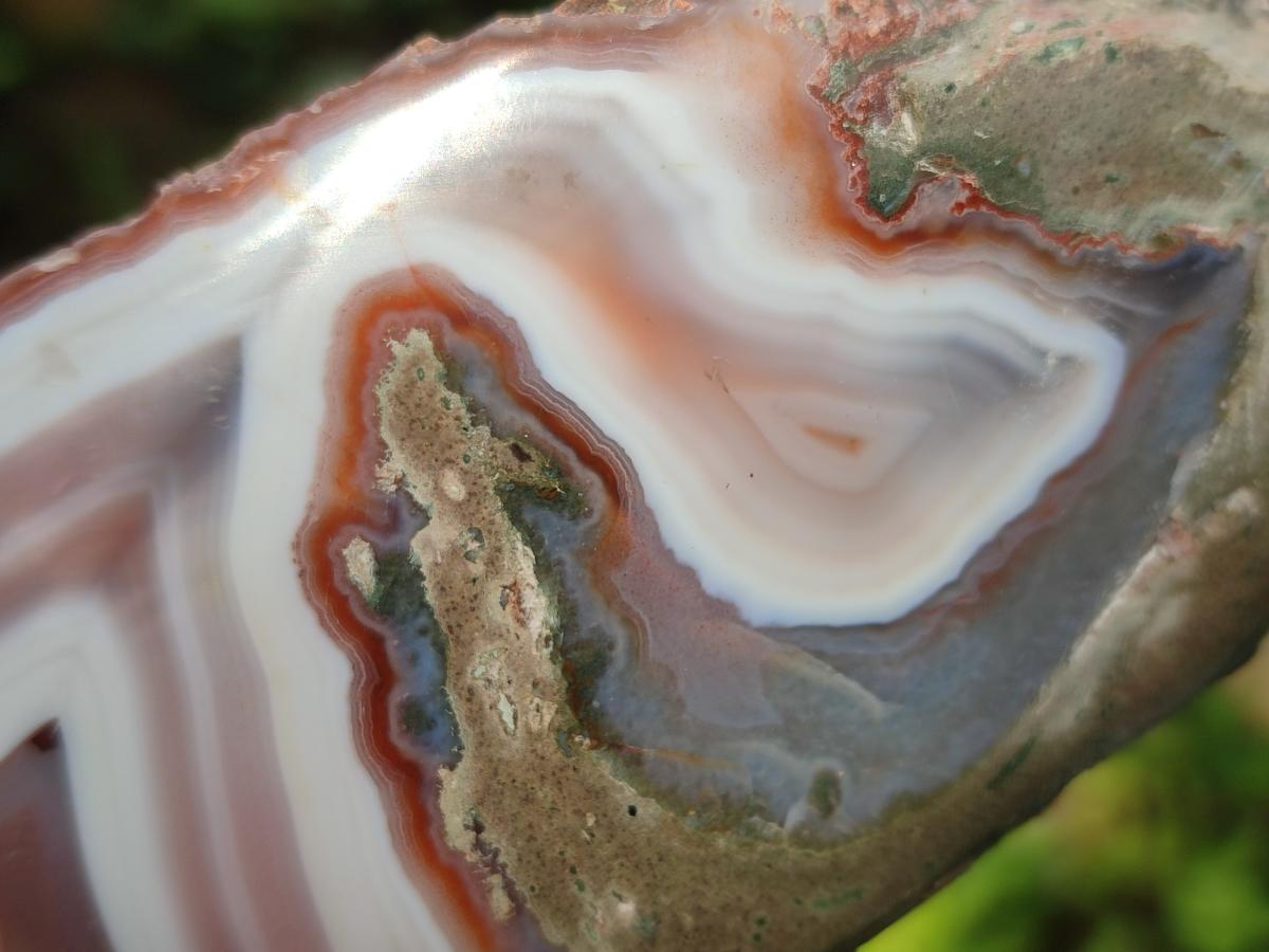 Polished One Side Red Shashe River Agate Nodules x 4 From Shashe River, Zimbabwe - Toprock Gemstones and Minerals 