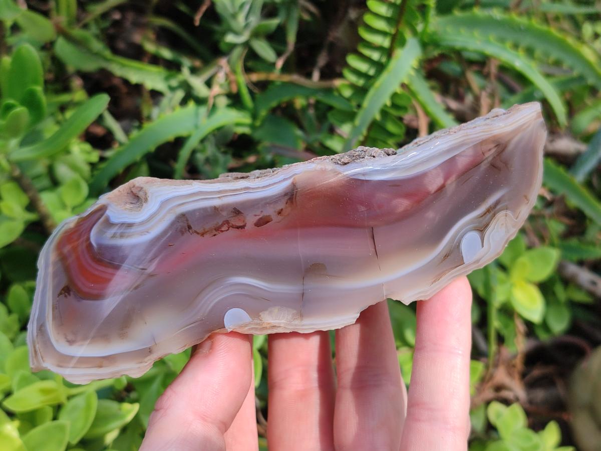 Polished One Side Red Shashe River Agate Nodules x 4 From Shashe River, Zimbabwe - Toprock Gemstones and Minerals 