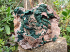 Natural XL Museum Ball Malachite Specimen with Drusy Quartz on Dolomite Matrix x 1 From Mindingi Mine, Kambove, Congo - Toprock Gemstones and Minerals 
