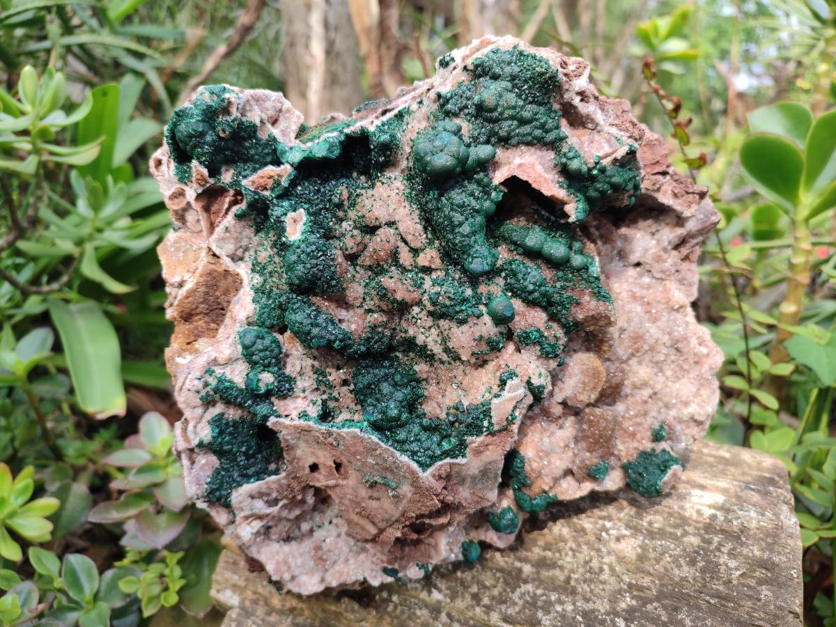Natural XL Museum Ball Malachite Specimen with Drusy Quartz on Dolomite Matrix x 1 From Mindingi Mine, Kambove, Congo - Toprock Gemstones and Minerals 