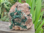 Natural XL Museum Ball Malachite Specimen with Drusy Quartz on Dolomite Matrix x 1 From Mindingi Mine, Kambove, Congo - Toprock Gemstones and Minerals 