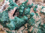Natural XL Museum Ball Malachite Specimen with Drusy Quartz on Dolomite Matrix x 1 From Mindingi Mine, Kambove, Congo - Toprock Gemstones and Minerals 