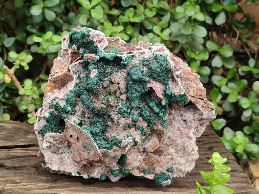 Natural XL Museum Ball Malachite Specimen with Drusy Quartz on Dolomite Matrix x 1 From Mindingi Mine, Kambove, Congo - Toprock Gemstones and Minerals 