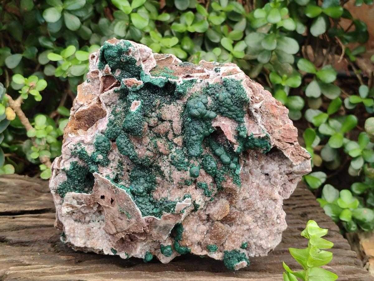 Natural XL Museum Ball Malachite Specimen with Drusy Quartz on Dolomite Matrix x 1 From Mindingi Mine, Kambove, Congo - Toprock Gemstones and Minerals 