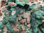 Natural XL Museum Ball Malachite Specimen with Drusy Quartz on Dolomite Matrix x 1 From Mindingi Mine, Kambove, Congo - Toprock Gemstones and Minerals 