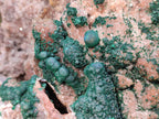 Natural XL Museum Ball Malachite Specimen with Drusy Quartz on Dolomite Matrix x 1 From Mindingi Mine, Kambove, Congo - Toprock Gemstones and Minerals 